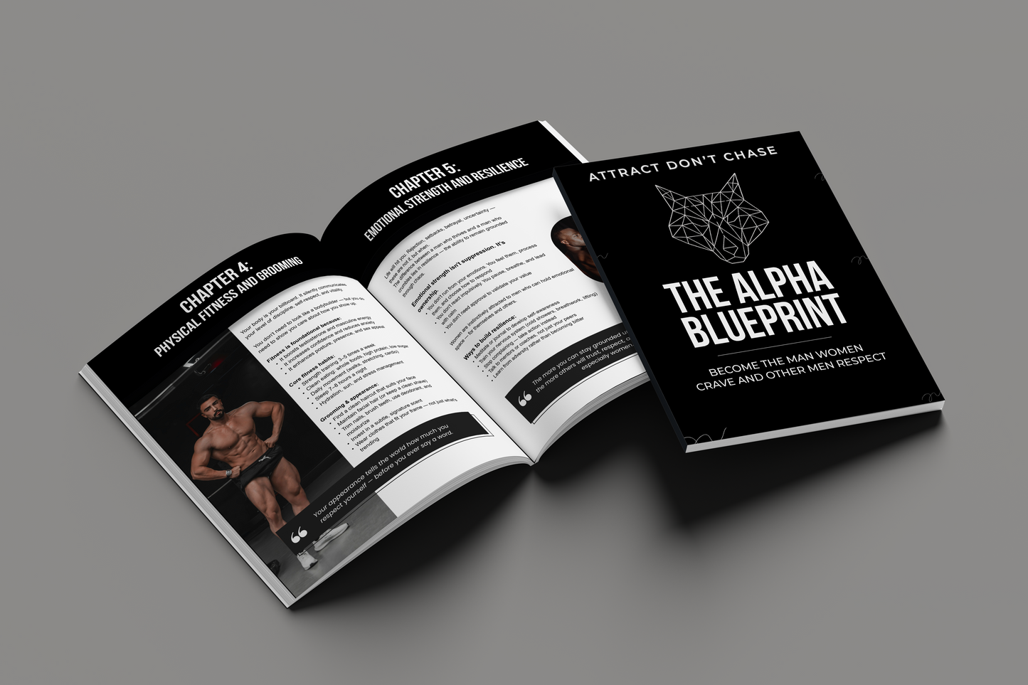 The Alpha Blueprint Ebook