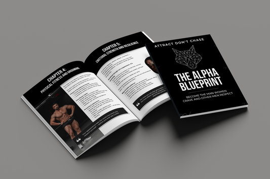 The Alpha Blueprint Ebook